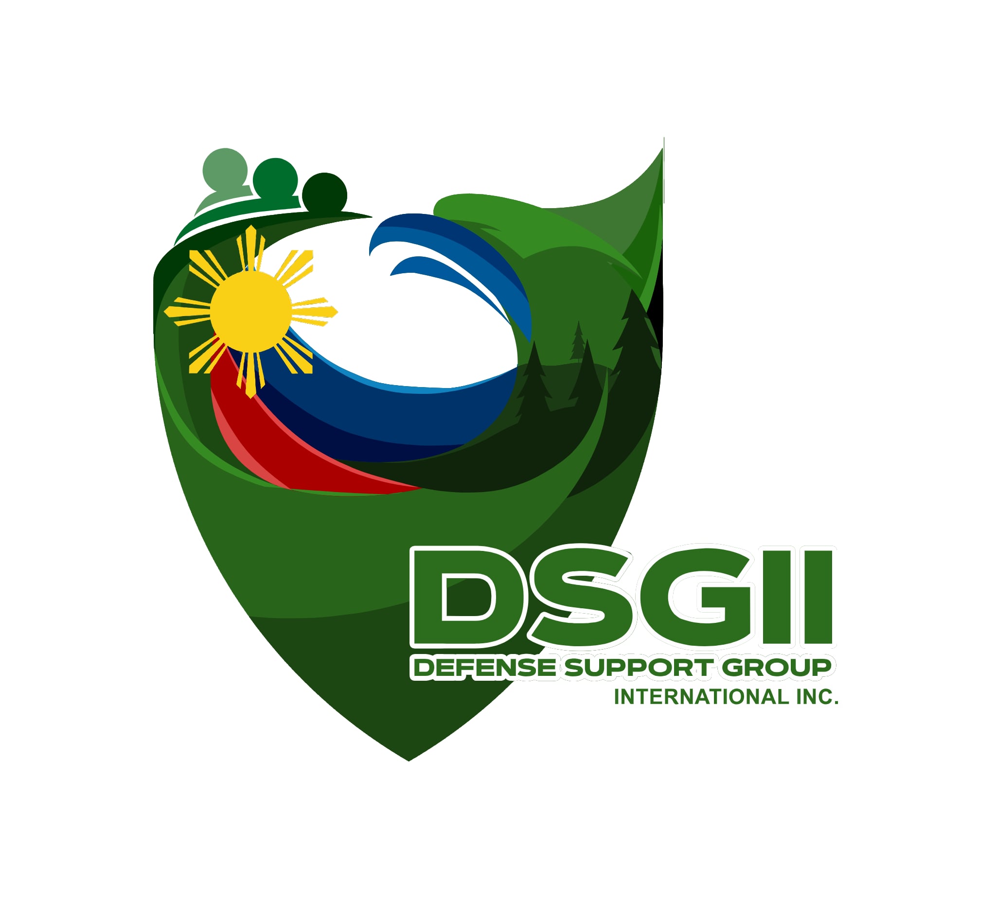 DSGI Organization